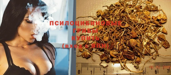 стафф Медвежьегорск