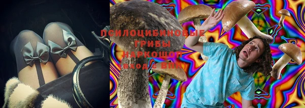 стафф Медвежьегорск