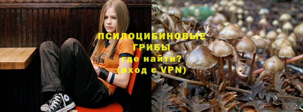 стафф Медвежьегорск