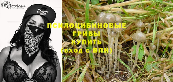 a pvp Медногорск