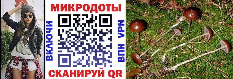 Псилоцибиновые грибы GOLDEN TEACHER  Купить закладки  Партизанск 